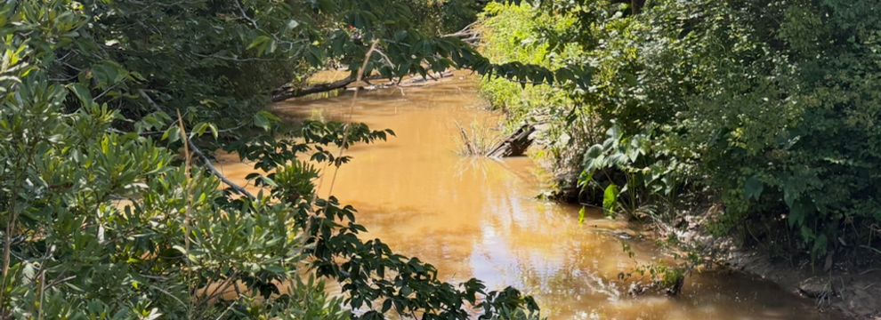 Property for sale in Newton County, Texas