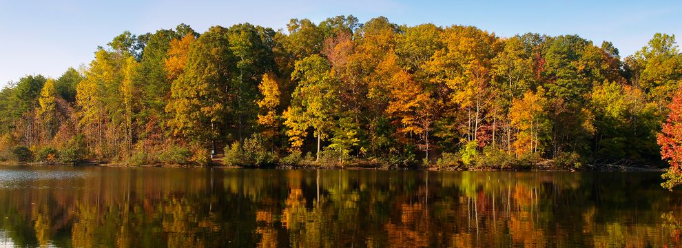 Property for sale in Lexington County, South Carolina