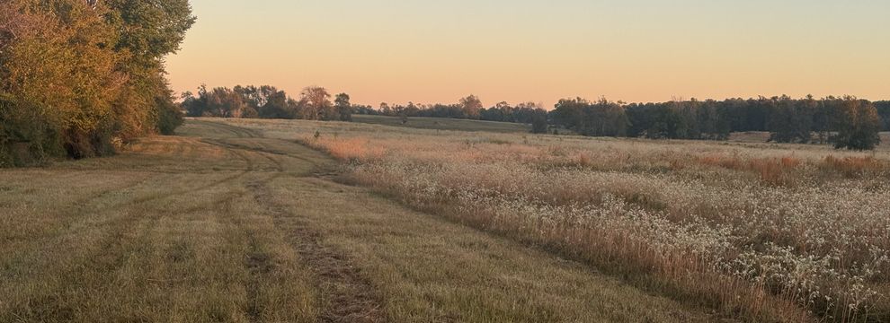 Property for sale in Houston County, Texas