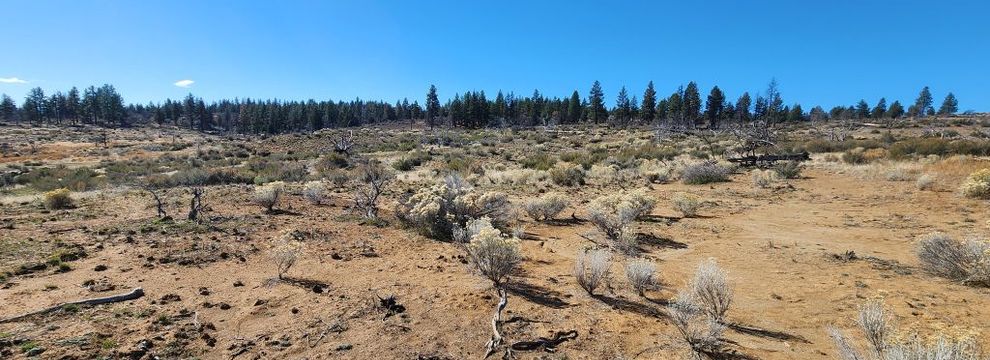 Waterfront Property for sale in Klamath County, Oregon