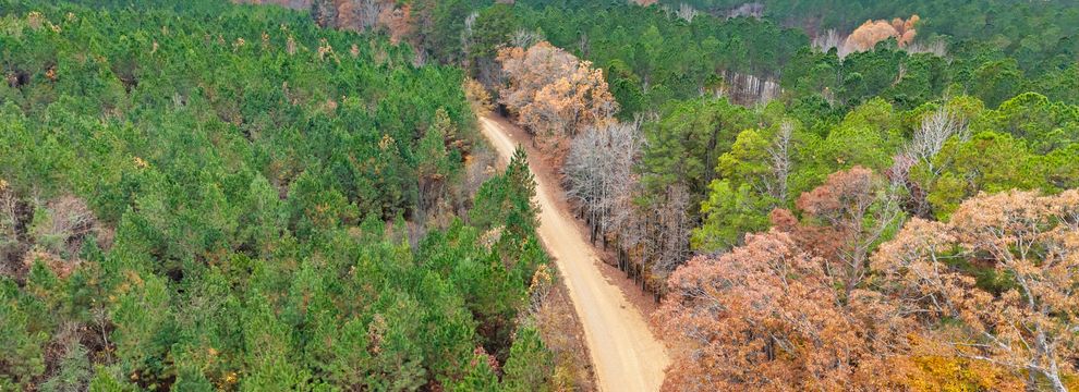Timberland Property for sale in Calhoun County, Mississippi
