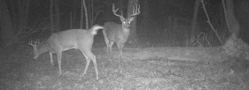 Property for sale in Juneau County, Wisconsin