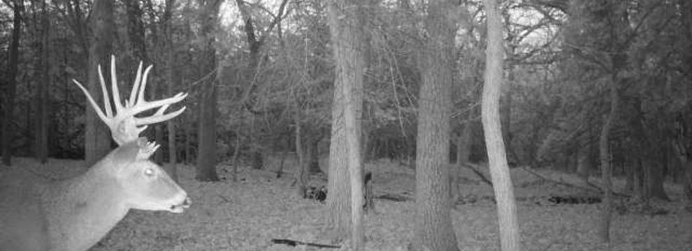 Property for sale in Pottawatomie County, Kansas