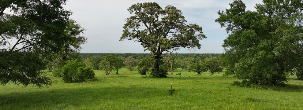 Property for sale in Madison County, Texas