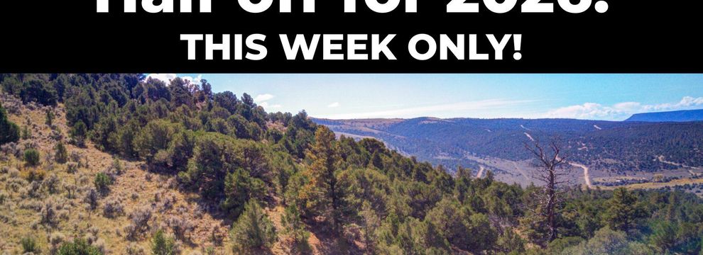 Recreational Property for sale in Costilla County, Colorado