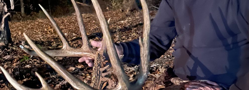 Timberland Property for sale in Pope County, Illinois