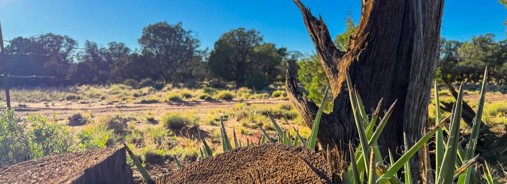 Property for sale in Navajo County, Arizona