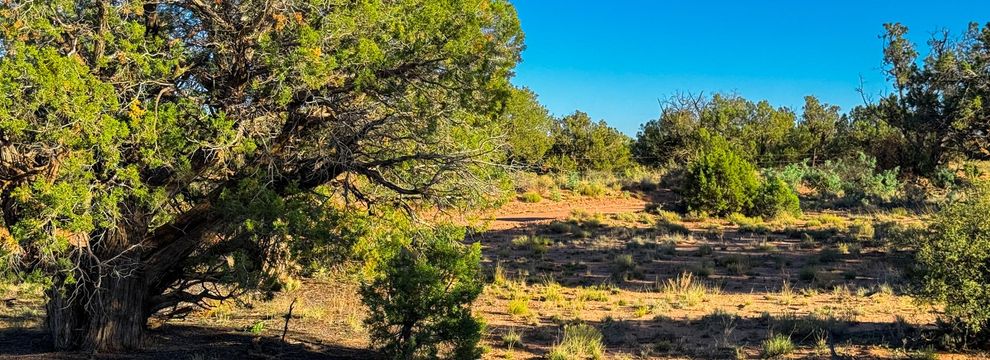 Property for sale in Navajo County, Arizona