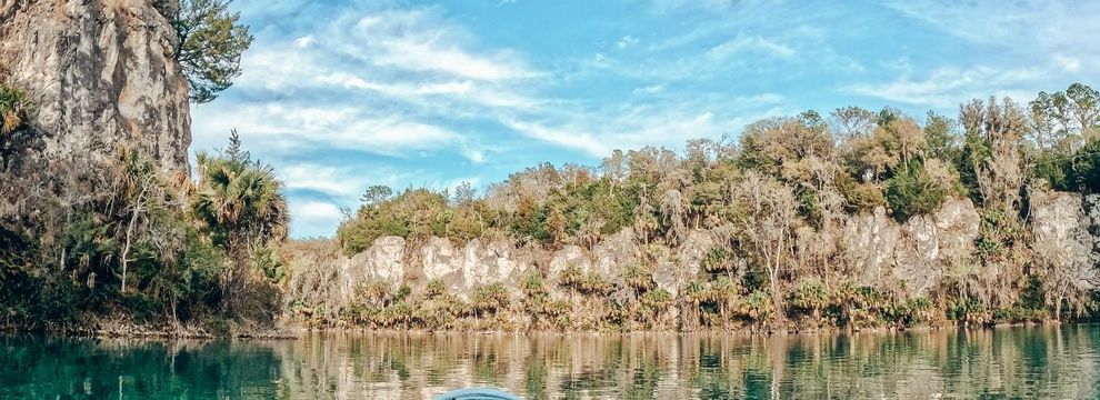 Timberland Property for sale in Putnam County, Florida