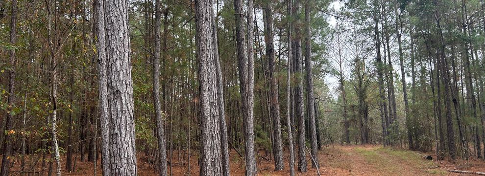 Property for sale in Horry County, South Carolina