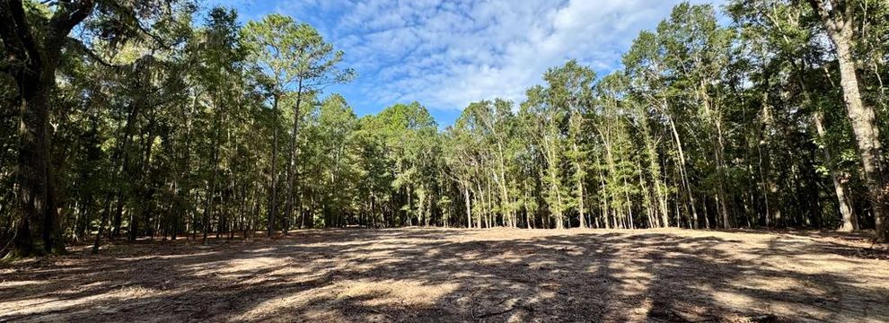 Property for sale in Jasper County, South Carolina