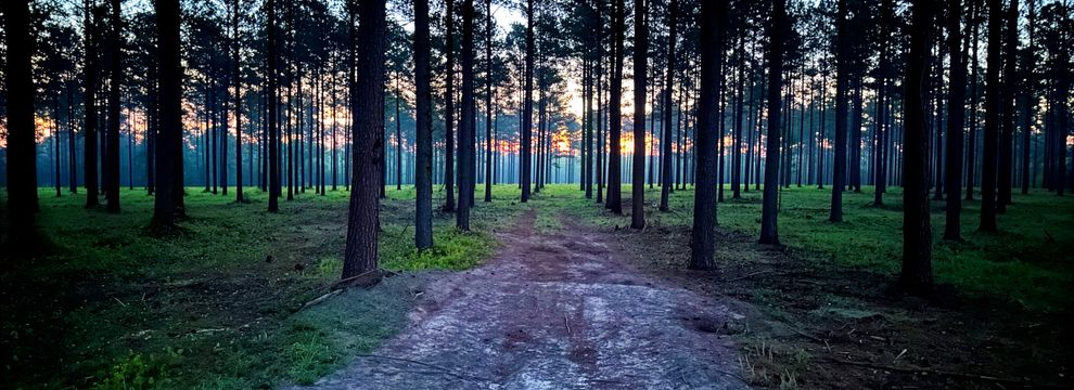 Property for sale in Calhoun County, Georgia