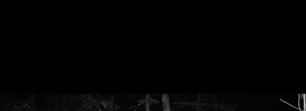 Lakefront Property for sale in Cross County, Arkansas