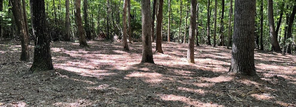 Property for sale in Wilkes County, North Carolina