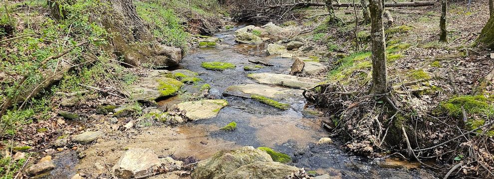 Recreational Property for sale in Wilkes County, North Carolina