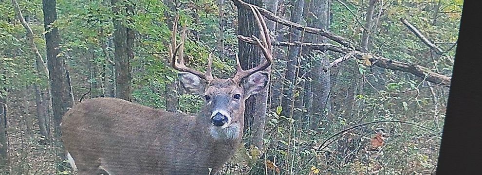 Property for sale in Pope County, Illinois