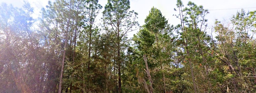 Recreational Property for sale in Putnam County, Florida