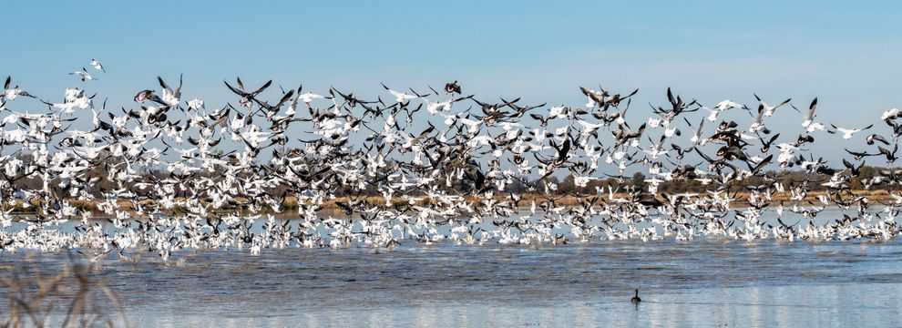 Recreational Property for sale in Prairie County, Arkansas