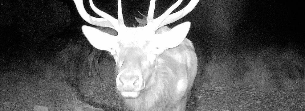 Property for sale in Edwards County, Texas