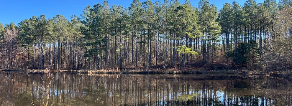 Property for sale in Calhoun County, Mississippi