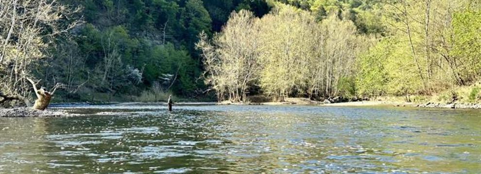 Property for sale in Hampshire County, West Virginia