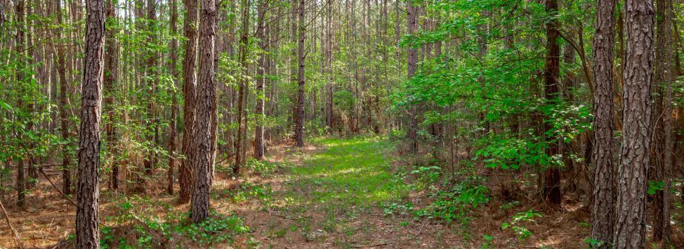 Property for sale in Saluda County, South Carolina