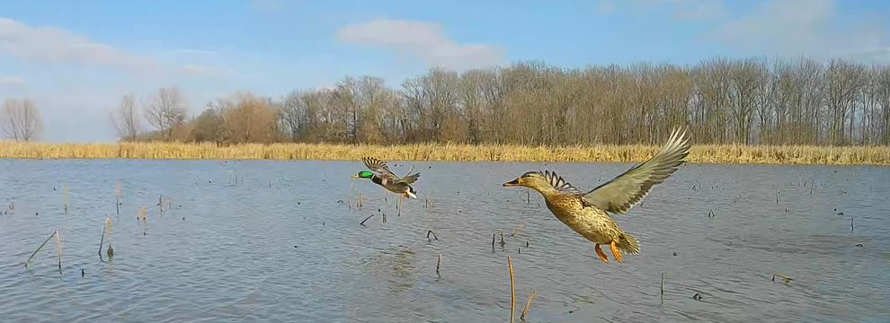 Farm Property for sale in Prairie County, Arkansas