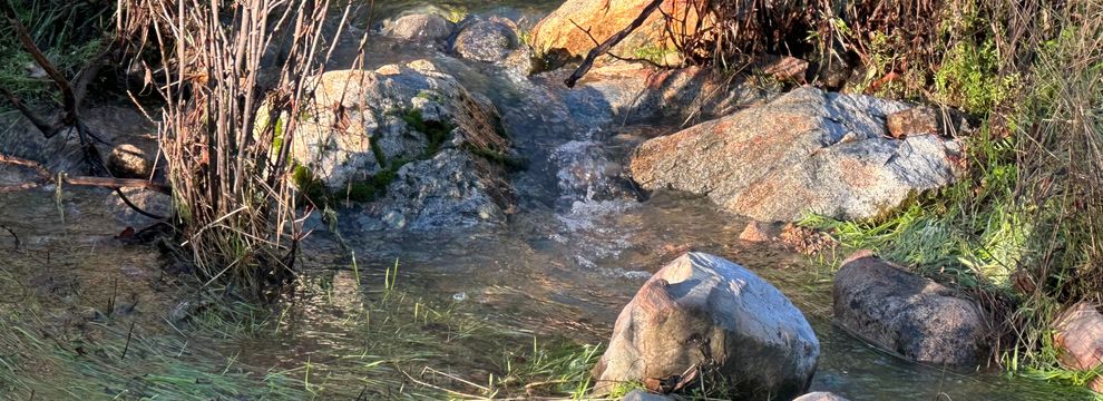 Property for sale in Mariposa County, California