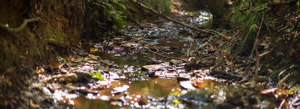 Property for sale in Rusk County, Texas