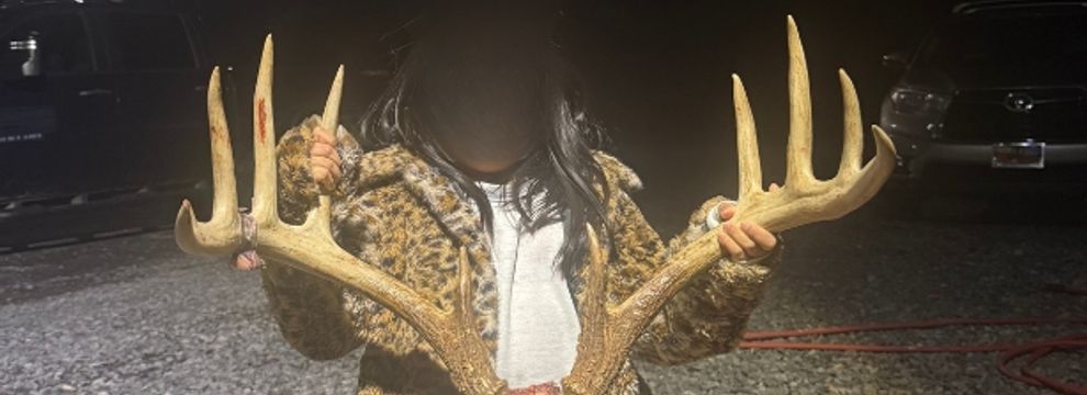 Timberland Property for sale in Pope County, Illinois