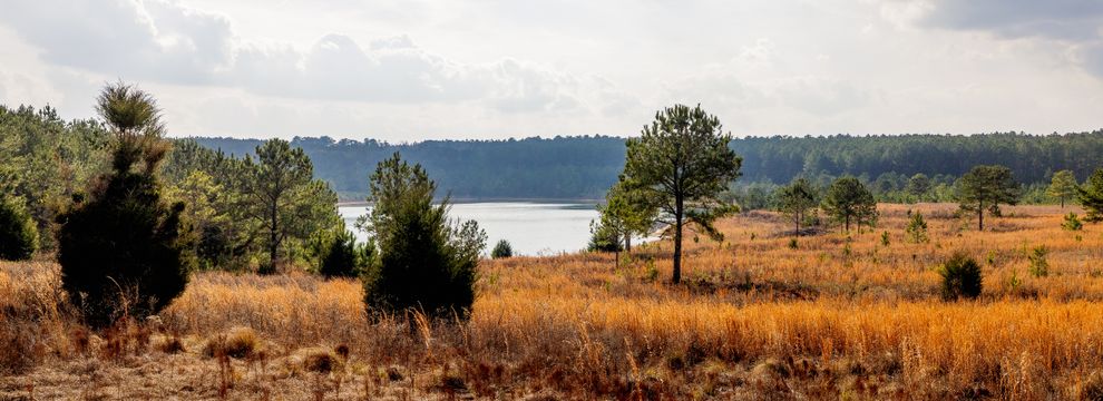 Property for sale in Macon County, Georgia