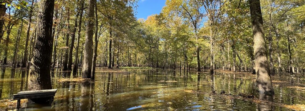 Farm Property for sale in Monroe County, Arkansas