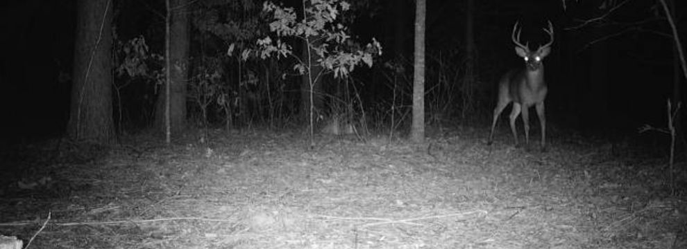 Property for sale in Calhoun County, Mississippi