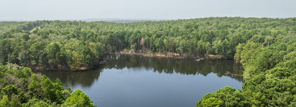 Hunting Land for sale in Pulaski County, Arkansas