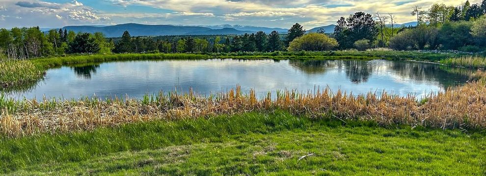 Property for sale in Colfax County, New Mexico