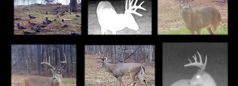 Lakefront Property for sale in Madison County, Mississippi