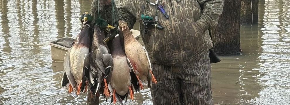 Property for sale in Monroe County, Arkansas