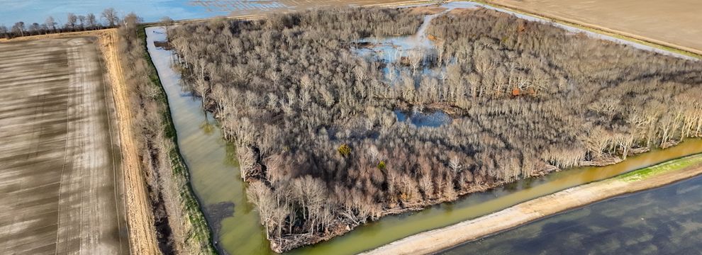 Timberland Property for sale in Craighead County, Arkansas