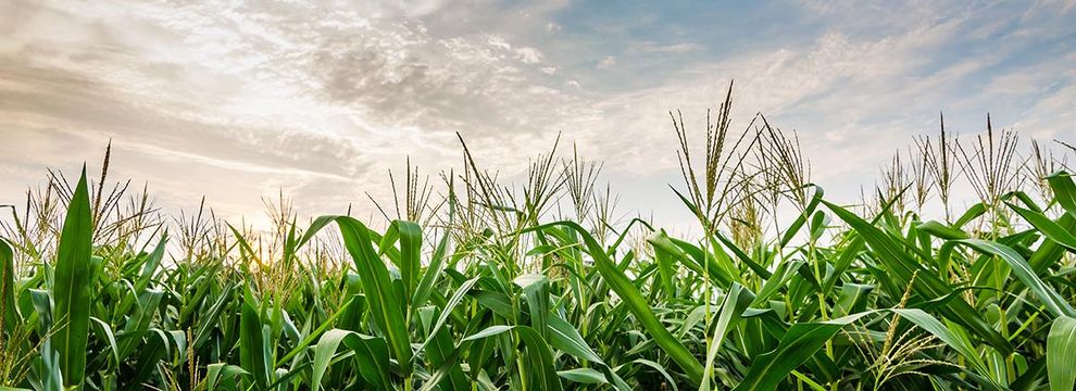 Property for sale in Brule County, South Dakota