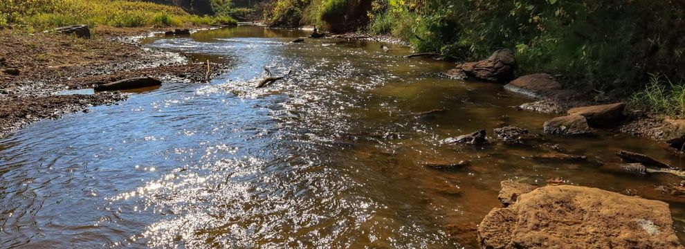 Hunting Land for sale in Jefferson County, Oklahoma