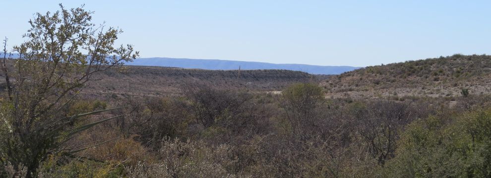 Property for sale in Terrell County, Texas