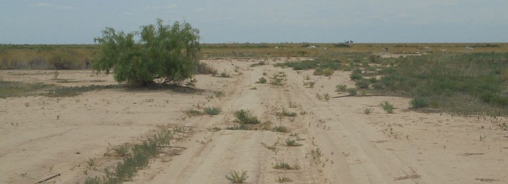Property for sale in Reeves County, Texas