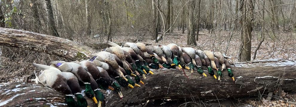 Riverfront Property for sale in Woodruff County, Arkansas