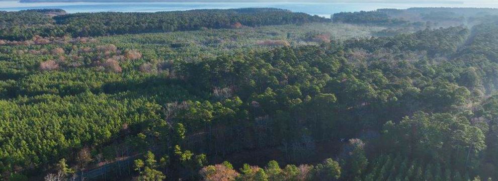 Recreational Property for sale in Sabine County, Texas