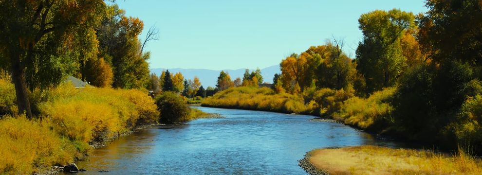 Hunting Land for sale in Conejos County, Colorado