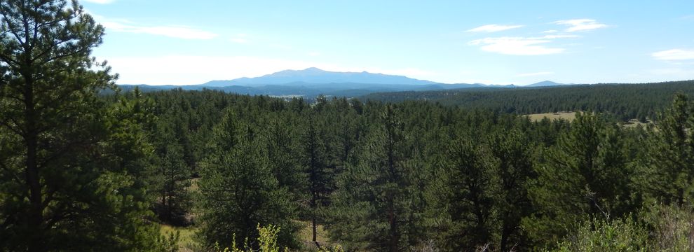 Recreational Property for sale in Park County, Colorado
