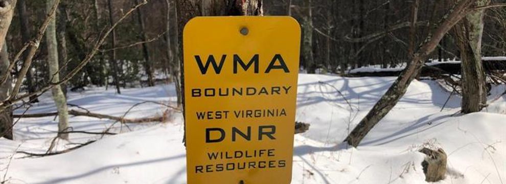 Property for sale in Hardy County, West Virginia