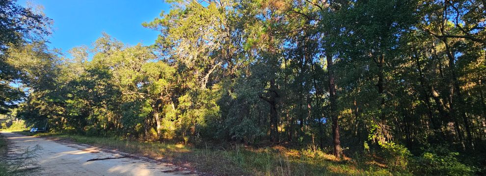 Timberland Property for sale in Putnam County, Florida