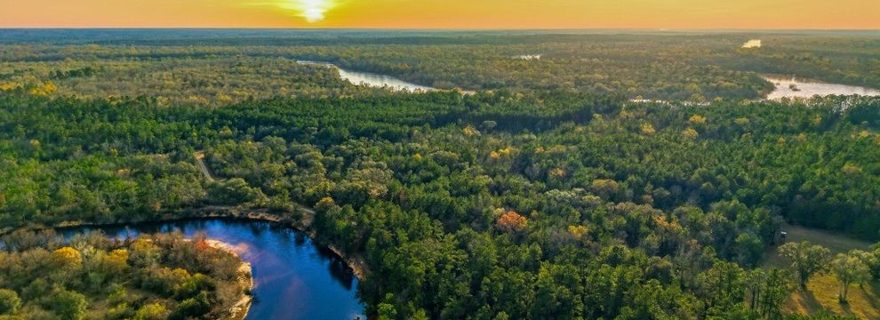 Riverfront Property for sale in Tattnall County, Georgia