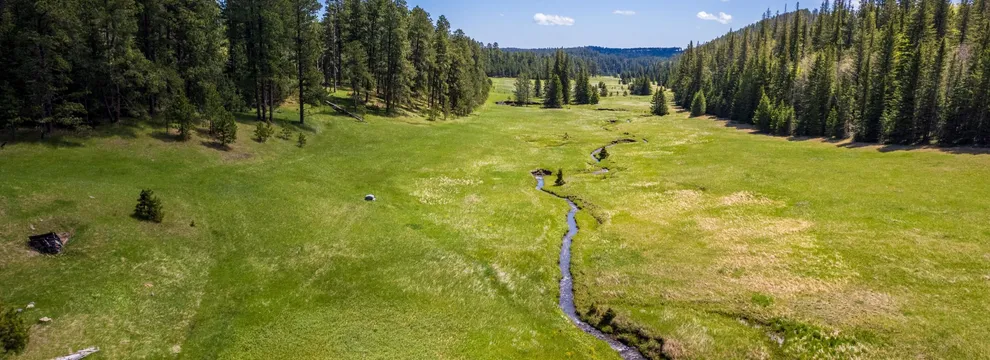 Property for sale in Lawrence County, South Dakota